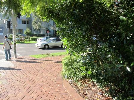 Commercial property for lease in hornsby 2