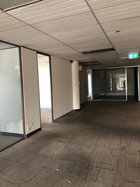 Commercial property for lease in chatswood 2