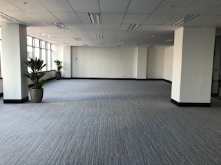 Commercial property for lease in north sydney 1
