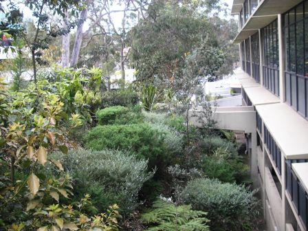 Commercial property for lease in pymble 1