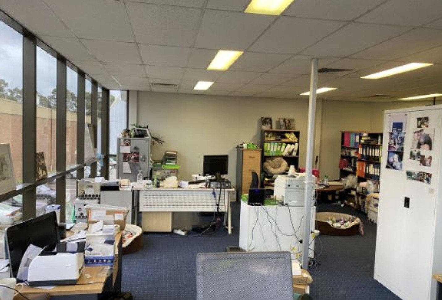 Industrial property for lease in silverwater 2